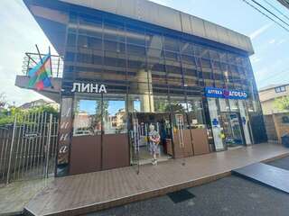 Гостиница Лина Адлер-1